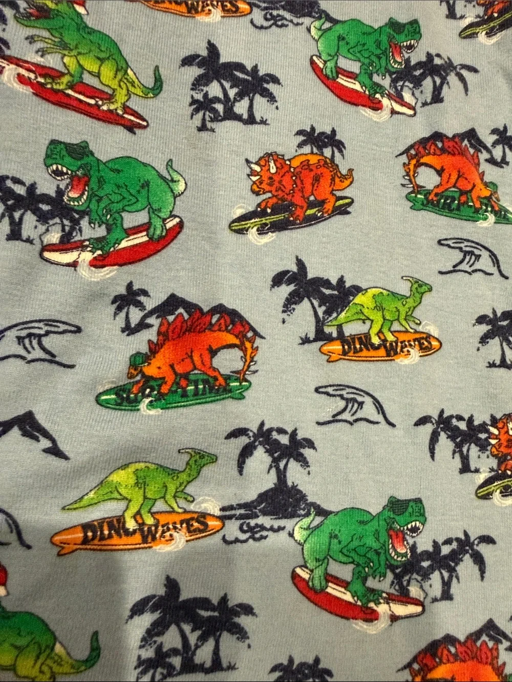 Blue Dinosaur Print Kids Pajama Set